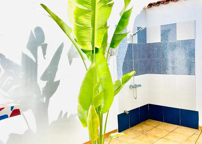 Oasis With Jacuzzi *